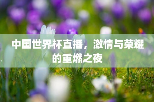 中国世界杯直播，激情与荣耀的重燃之夜洛阳市法福文化传播有限公司