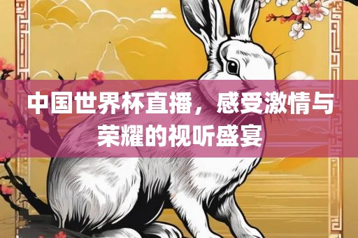 中国世界杯直播，感受激情与荣耀的视听盛宴洛阳市法福文化传播有限公司