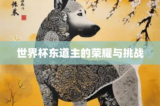 世界杯东道主的荣耀与挑战