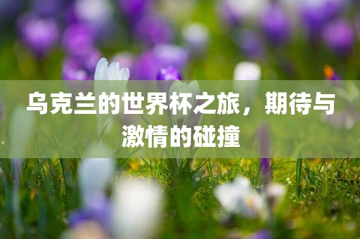 乌克兰的世界杯之旅，期待与激情的碰撞