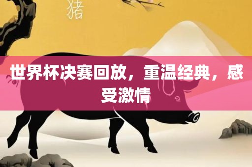 世界杯决赛回放，重温经洛阳市法福文化传播有限公司典，感受激情
