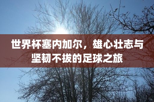 世界杯塞内加尔，雄心壮志与坚韧不拔的足球之旅