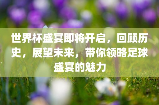 世界杯盛宴即将开启，回顾洛阳市法福文化传播有限公司历史，展望未来，带你领略足球盛宴的魅力