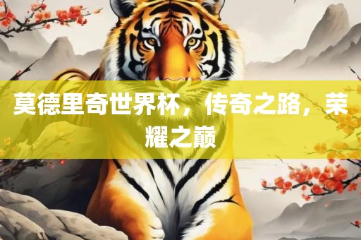 莫德里奇世界杯，传奇之路，荣耀之巅