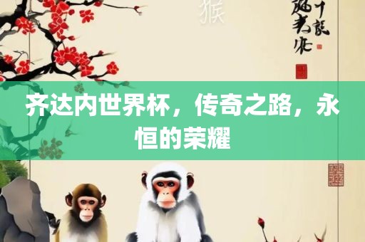 齐达内世界杯，传奇之路，永恒的荣耀