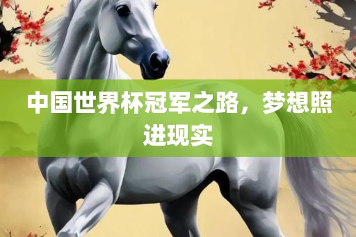 中国世界杯冠军之路，梦想照进现实洛阳市法福文化传播有限公司