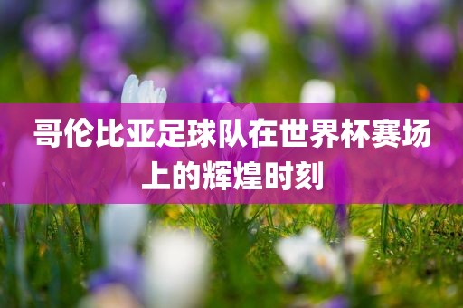 哥伦比亚足球队在世界杯赛场上的辉煌时刻洛阳市法福文化传播有限公司