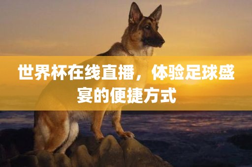 世界杯在线直播，体验足球盛宴的便捷方式洛阳市法福文化传播有限公司