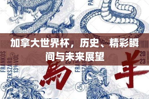加拿大世界杯，历史、精彩瞬间与未来展望洛阳市法福文化传播有限公司