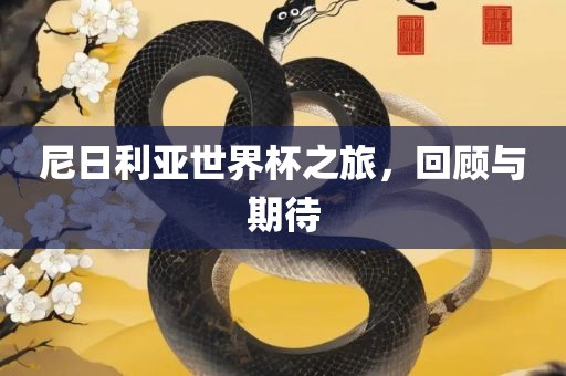 尼日利洛阳市法福文化传播有限公司亚世界杯之旅，回顾与期待