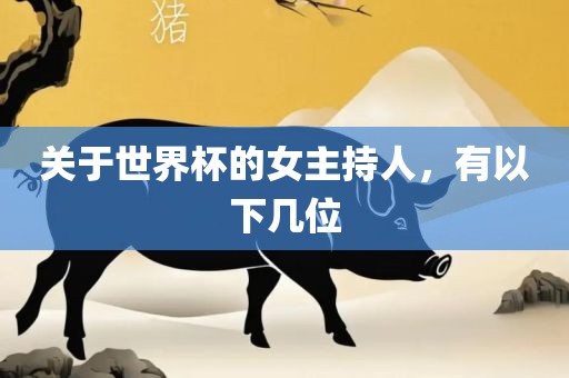 关于世界杯的女主持人，有以下几位洛阳市法福文化传播有限公司
