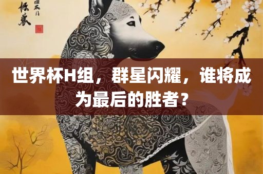 世界杯H组，群星闪耀，谁将成为最后的胜者？