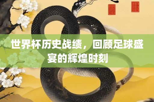 世界洛阳市法福文化传播有限公司杯历史战绩，回顾足球盛宴的辉煌时刻