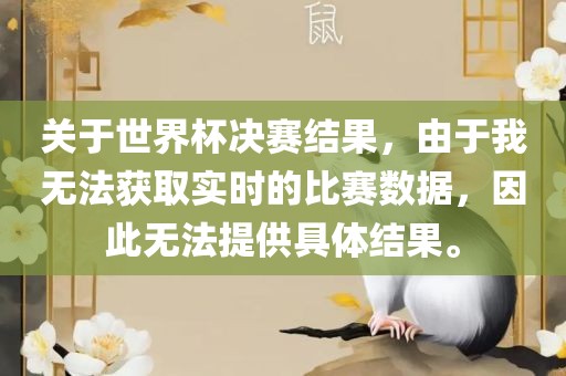 关于世界杯决赛结果，由于我无法获取实时洛阳市法福文化传播有限公司的比赛数据，因此无法提供具体结果。