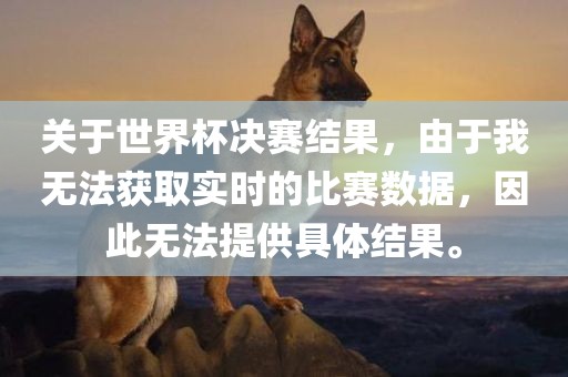 关于世界杯决赛结果，由于我无法获取实时的比赛数据，因此无法提供具体结果。