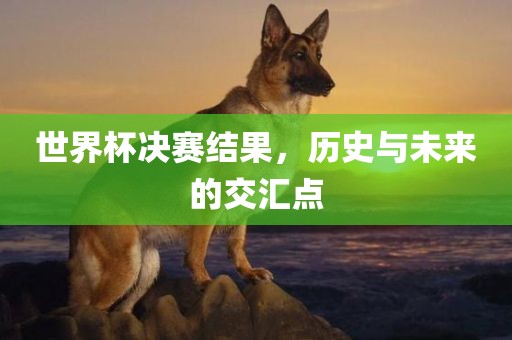 世界杯决赛结果，历史与未来的交汇点洛阳市法福文化传播有限公司