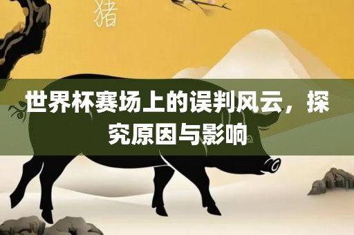 世界杯赛场上的误判风云，探究原因与影响洛阳市法福文化传播有限公司