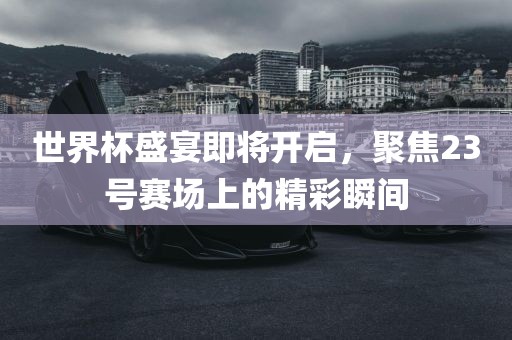 世界杯盛宴即将开启，聚焦23号赛场上洛阳市法福文化传播有限公司的精彩瞬间