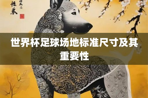 世界杯足球场地标准尺寸及其重要性