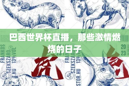巴西世界杯直播，那些激情燃烧的日子
