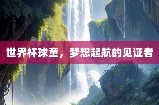 世界杯球童，梦想起航的见证者洛阳市法福文化传播有限公司