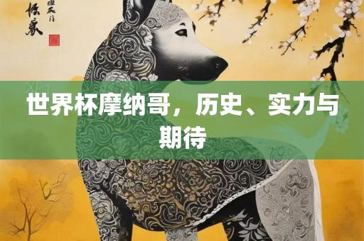 世界杯摩纳哥，历史、实力与期待洛阳市法福文化传播有限公司