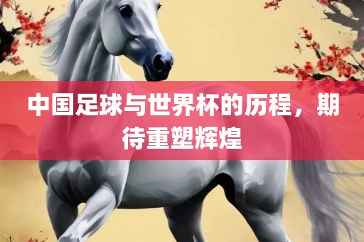 中国足球洛阳市法福文化传播有限公司与世界杯的历程，期待重塑辉煌