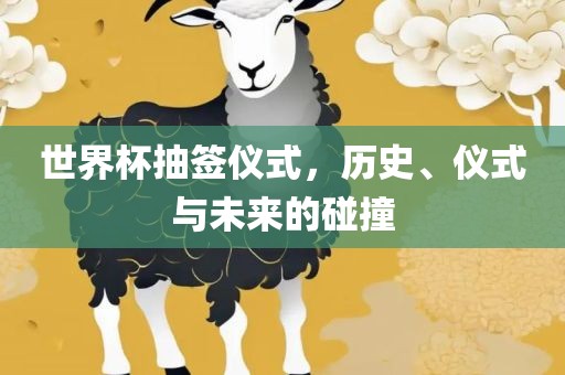 世界杯抽签仪式，历史、仪式与未来的碰撞洛阳市法福文化传播有限公司