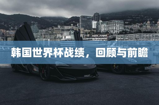 韩国世界杯战绩，回顾与前瞻