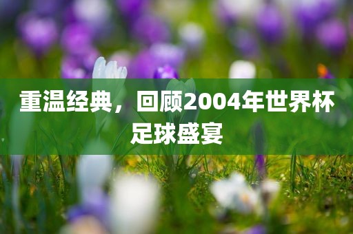 经典回顾 第3页