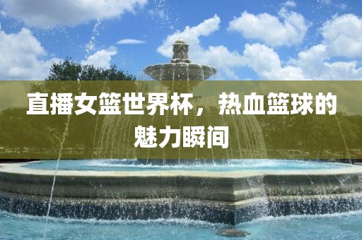 直播女篮世界杯，热血篮球的魅力瞬间洛阳市法福文化传播有限公司