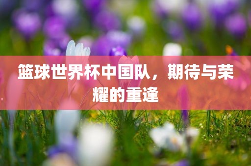 篮球世界杯中国队，期待与荣耀的重逢洛阳市法福文化传播有限公司