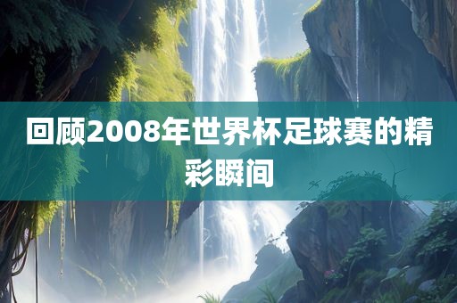 回顾2008年世界杯足球赛的精彩瞬间洛阳市法福文化传播有限公司
