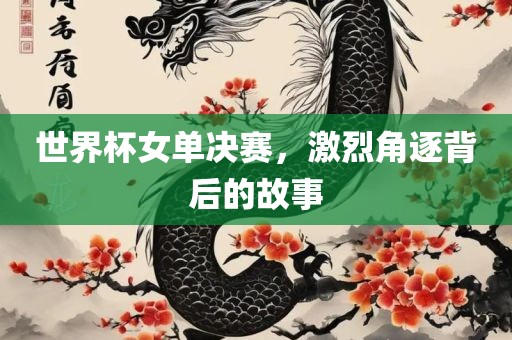 世界杯女单决赛，激烈角逐背后的故事洛阳市法福文化传播有限公司