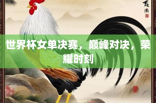世界杯女单决赛，巅峰对决，荣耀时刻
