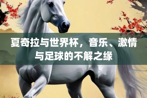 夏奇拉与世界杯，音乐、激情与足球的不解之缘洛阳市法福文化传播有限公司