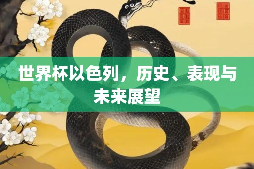 历史与未来展望 第4页