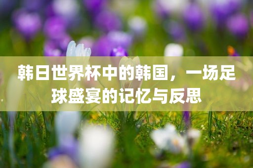 韩日世界杯中的韩国，一场足球盛宴的记忆与反思洛阳市法福文化传播有限公司
