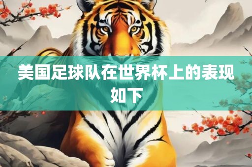 美国足球队