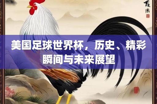 美国足球世界杯，历史、精彩瞬间与未来展望洛阳市法福文化传播有限公司