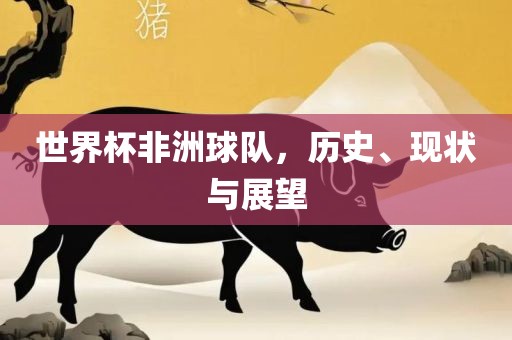 世界杯非洲球队，历史、现状与展望