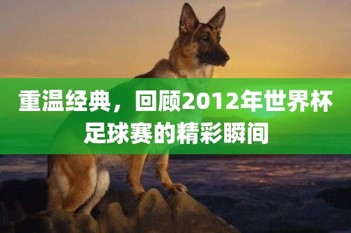 重温经典，回顾2012年世界杯足球赛的精彩瞬间