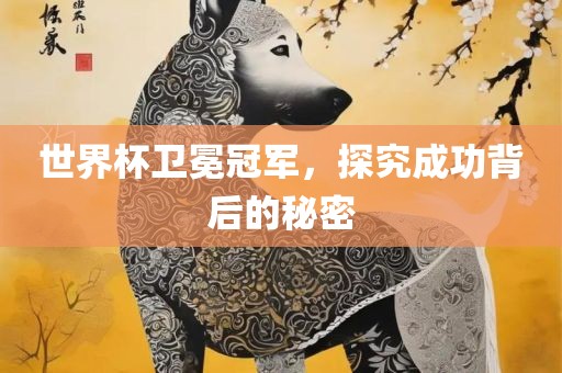 世界杯卫冕冠军，探究成功背后的秘密