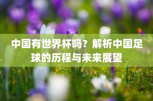 中国有世界杯吗？解析中国足球的历程与未来展望洛阳市法福文化传播有限公司