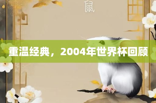重温经典，2004年世界杯回顾洛阳市法福文化传播有限公司