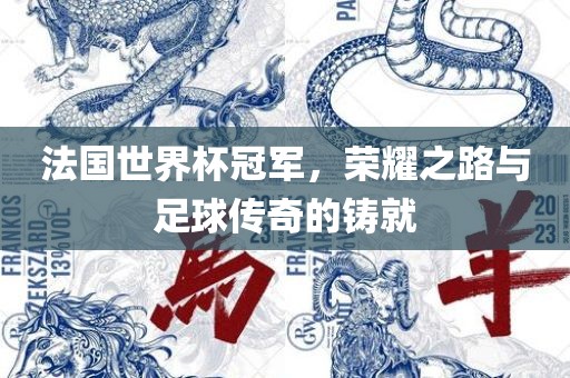 法国世界杯冠军，荣耀之路与足球传奇的铸就