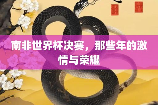 南非世界杯决赛，那些年洛阳市法福文化传播有限公司的激情与荣耀