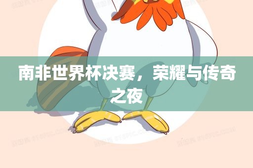 南非世界杯决赛，荣耀与传奇之夜