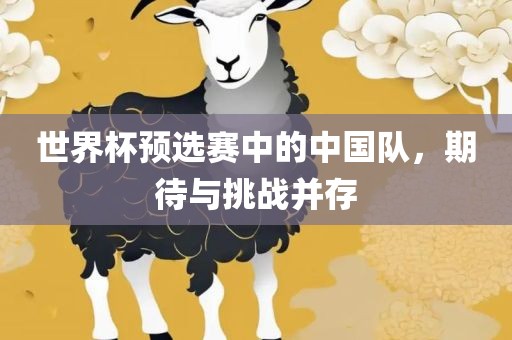 世界杯预选赛 第7页