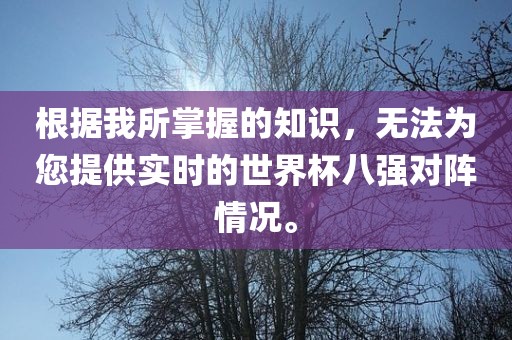 根据我所掌握的知识，无法为您提供实时的世界杯八强对阵情况。